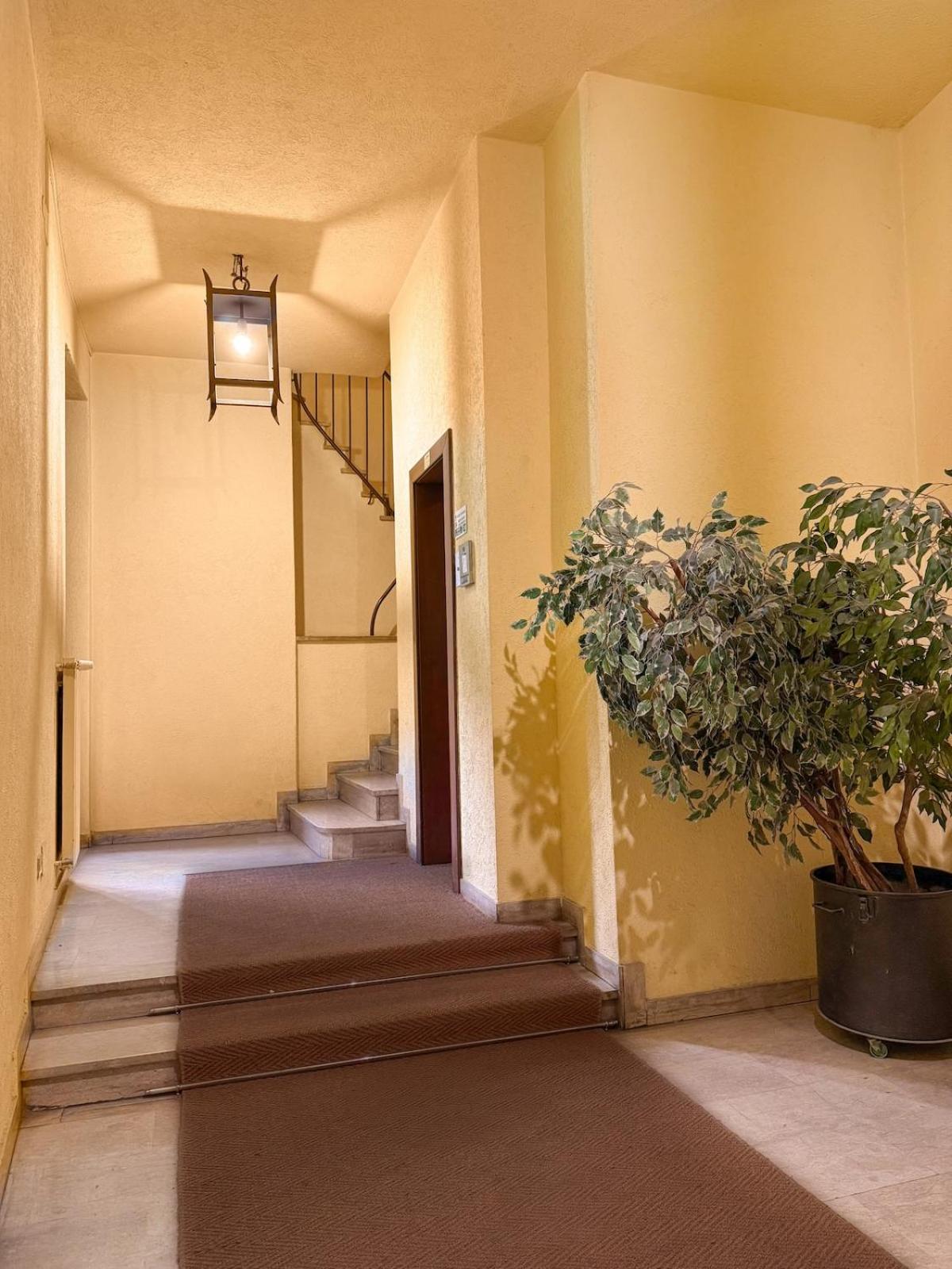 Flower - New Bright In Brera *